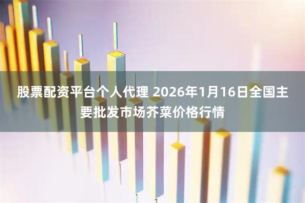 股票配资平台个人代理 2026年1月16日全国主要批发市场芥菜价格行情