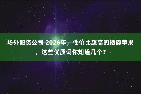 场外配资公司 2026年，性价比超高的栖霞苹果，这些优质词你知道几个？